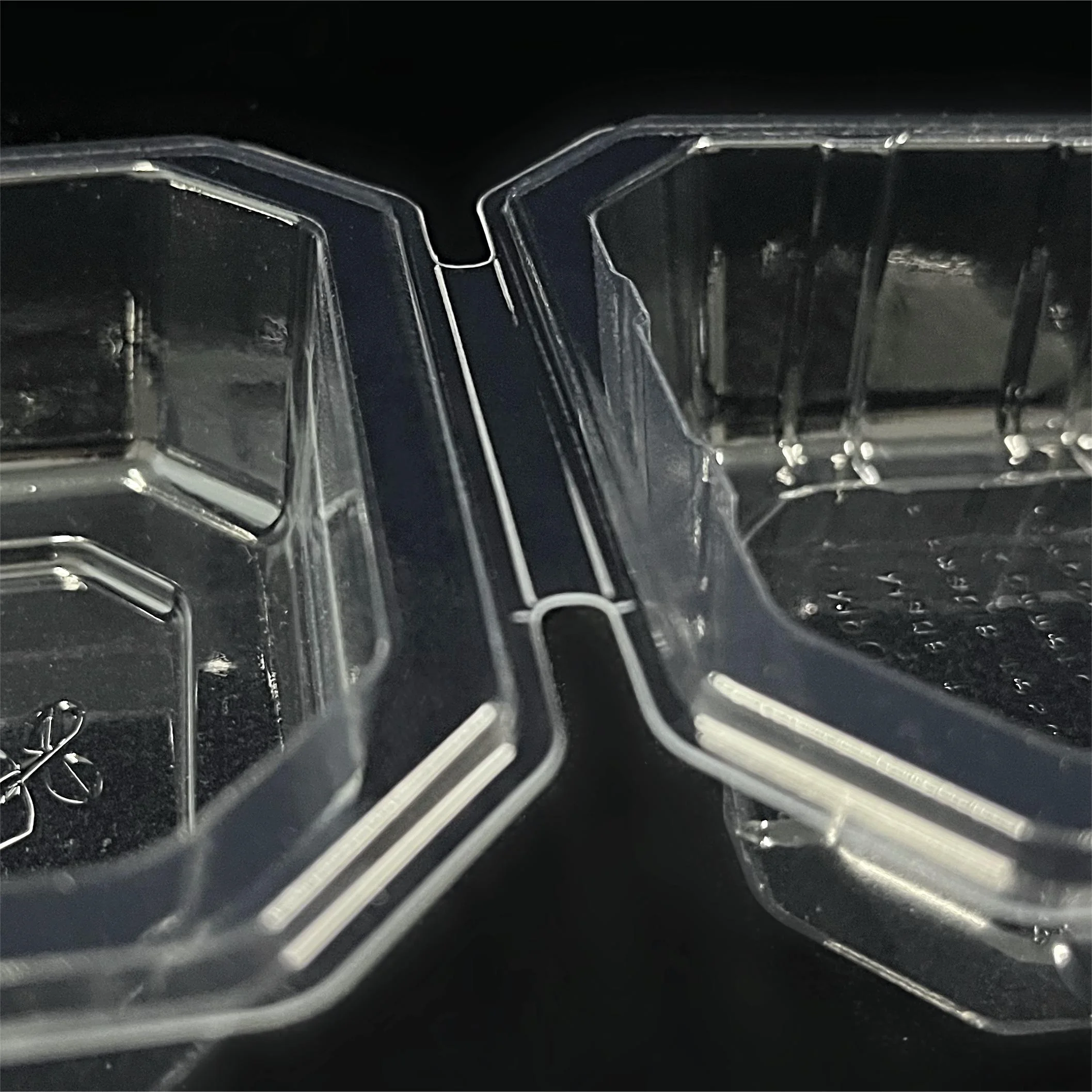 Hot Sale Disposable Square Plastic Box For Food Packaging Burger Box Recyclable Take Out Food Containers
