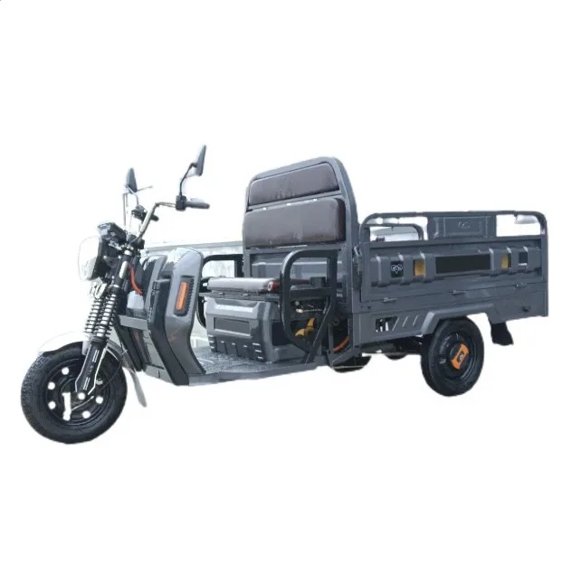 Agricultural electric tricycle household adult walking three-wheeled battery car pull delivery electric freight truck 2024