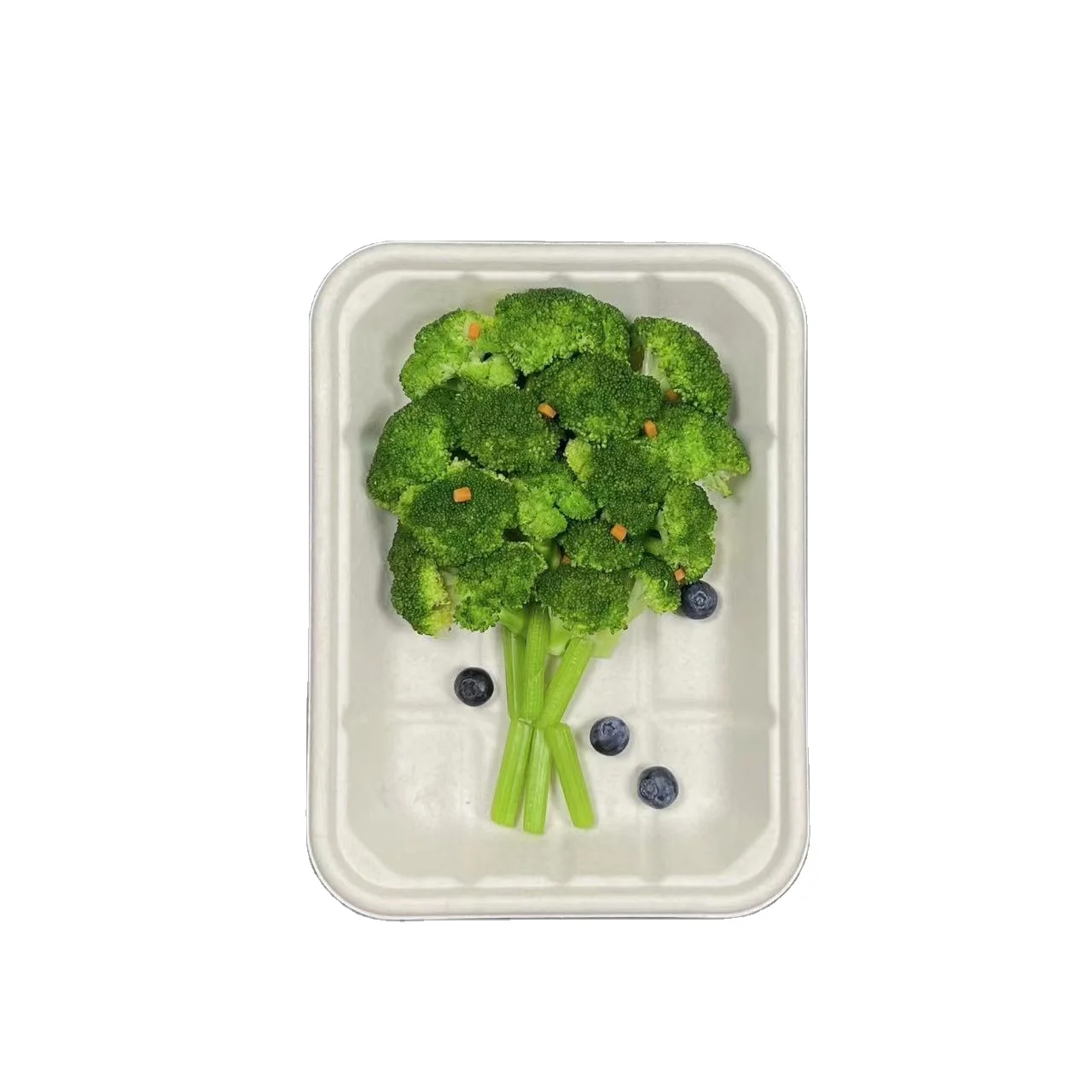 Natural  Eco -Friendly  Factory high quality Biodegradable Pulp Paint Tray Sugarcane Rectangle Paper Trays for Fast Food240428