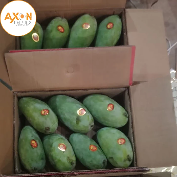 
Fresh From Pakistan Farm Honey Mango - Fresh Fruit 