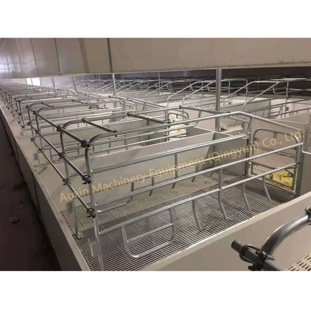 Cheap price livestock equipment pig farrowing crate galvanized cage for sale with farming plastic slatted flooring