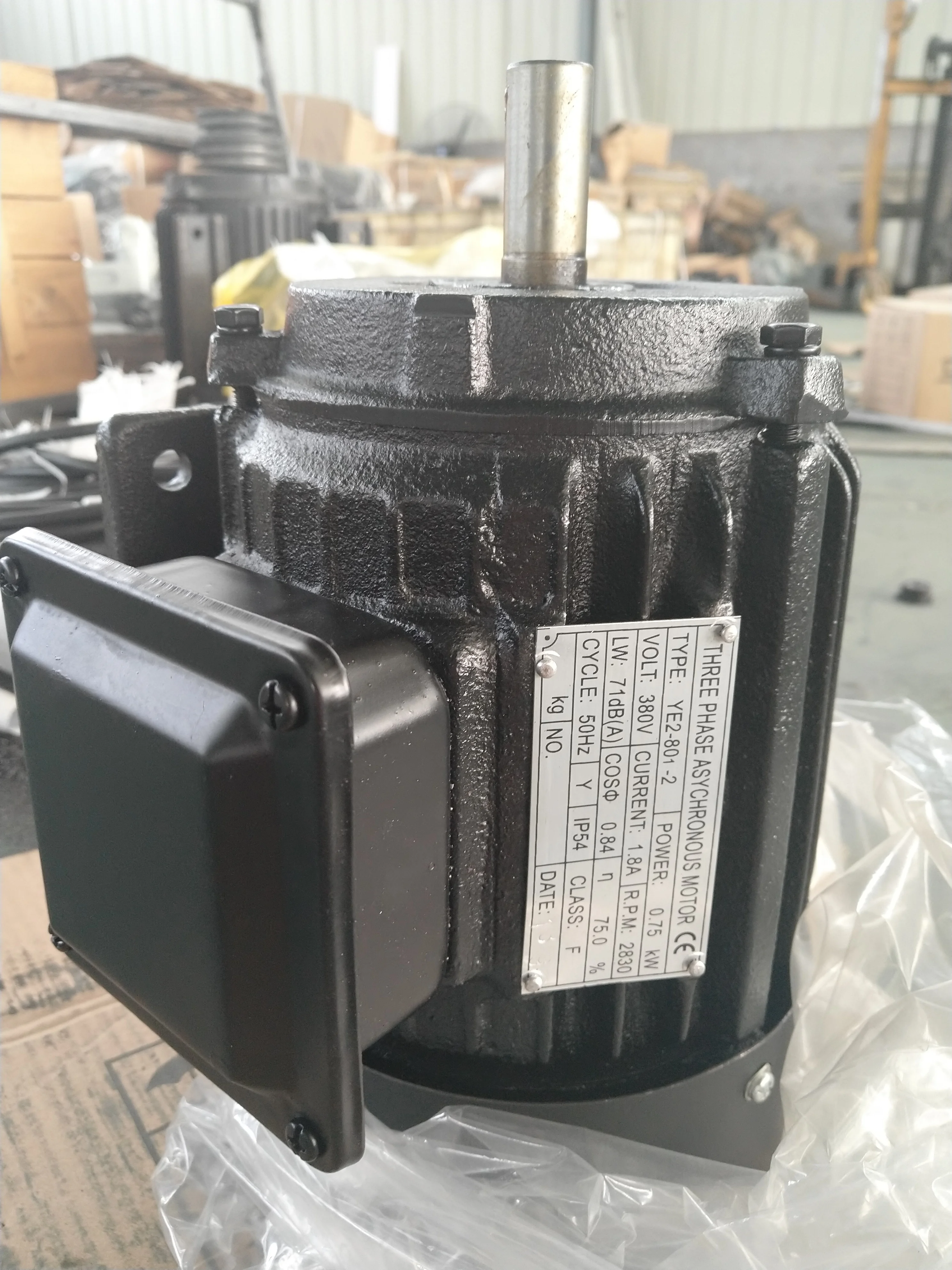 MJ6132TYD Woodworking Sliding Table Panel Saw With 45 degree tilting