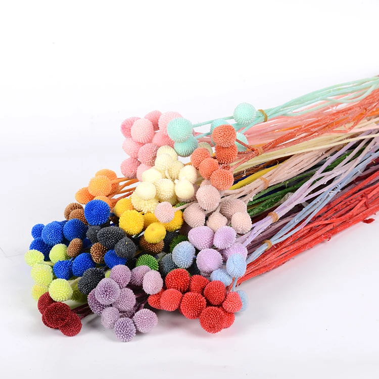 Top Selling Decorative Flowers Billy Balls Wreaths Christmas Indoor Decoration Dried Craspedia