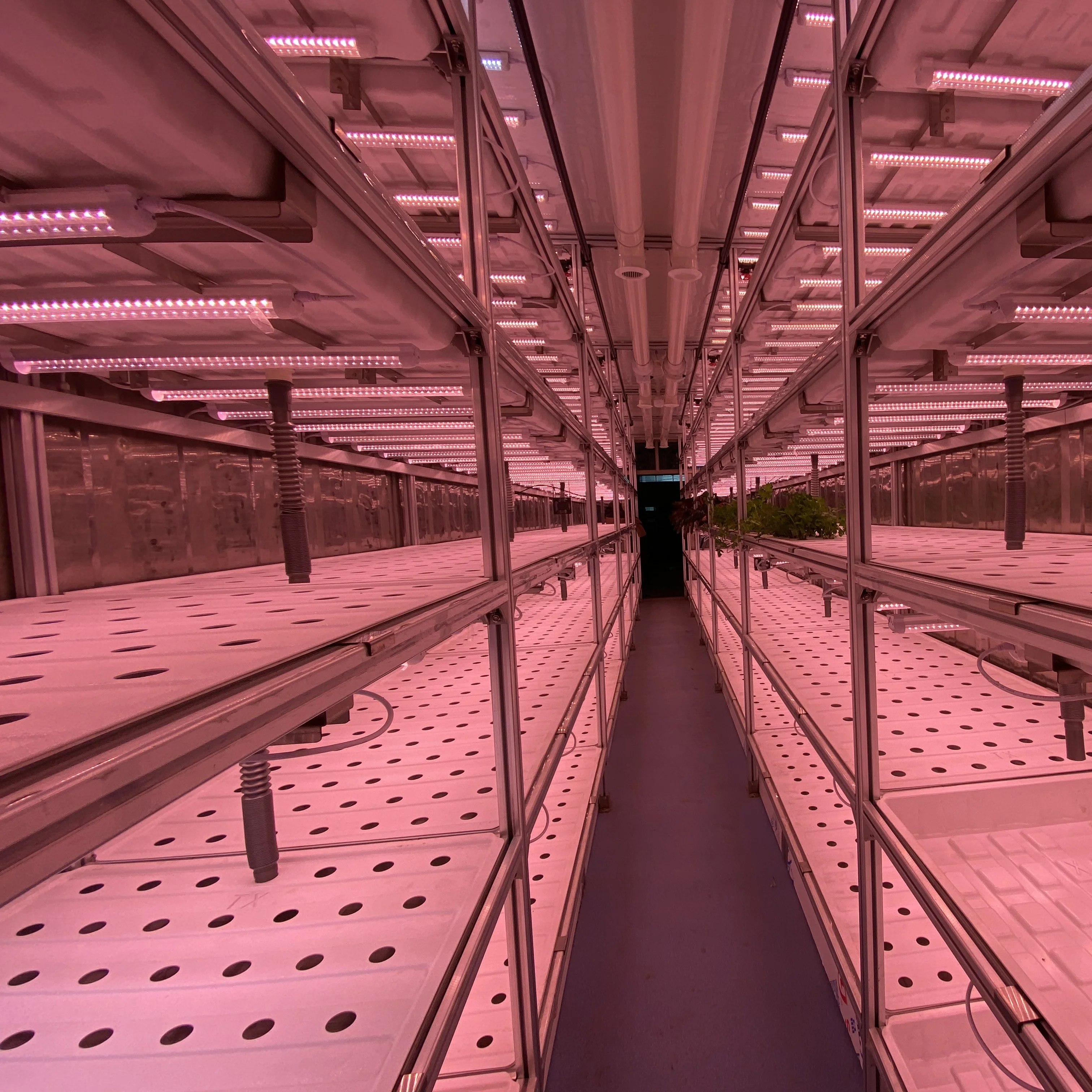 40 ft container 2021 Litai LED plant grow light  Hydroponic smart farming container greenhouse for agriculture