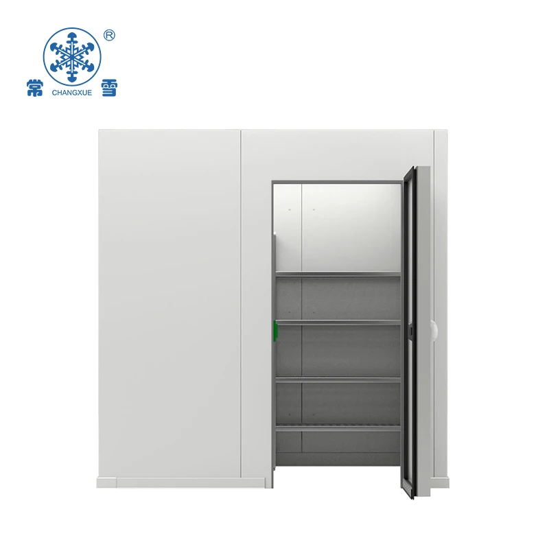 Banana cold storage with ripening machine with panels