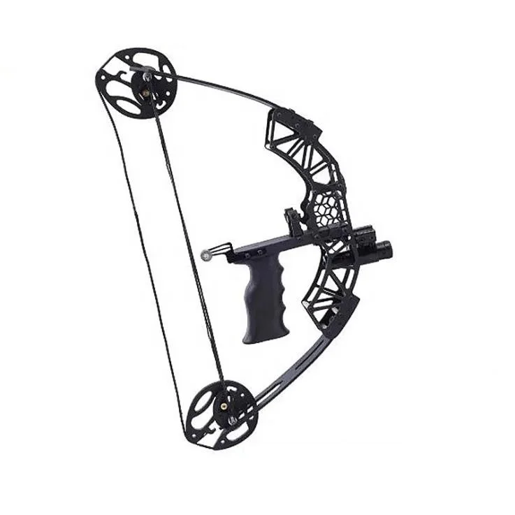 Mini compound pulley bow and arrow Mini  outdoor fish  equipment 45 pounds with sight