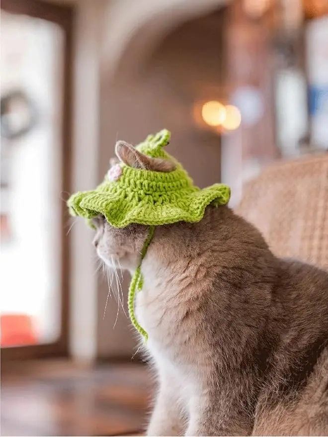 Cat Wool Knitted Hat Small Dog Handmade Hook Decorative Accessories Headwear Weaving Funny Cute Fashion Crossdressing Cat Hat
