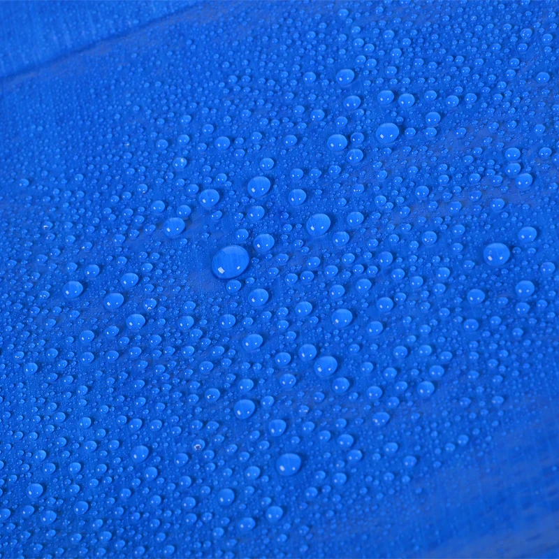 Easy To Carry Canvas Tarpaulins For Trucks And Pond Waterproof 55 Gsm Blue Pe Tarpaulin