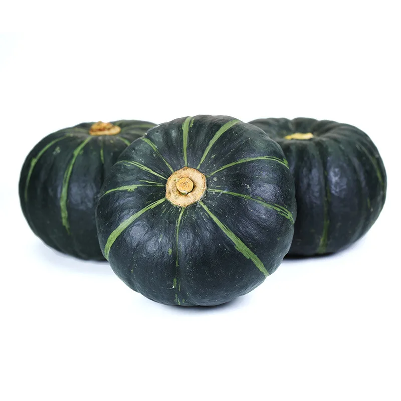 
All people tasted refreshing and delicious mini 100% natural dark green freshly picked pumpkin 