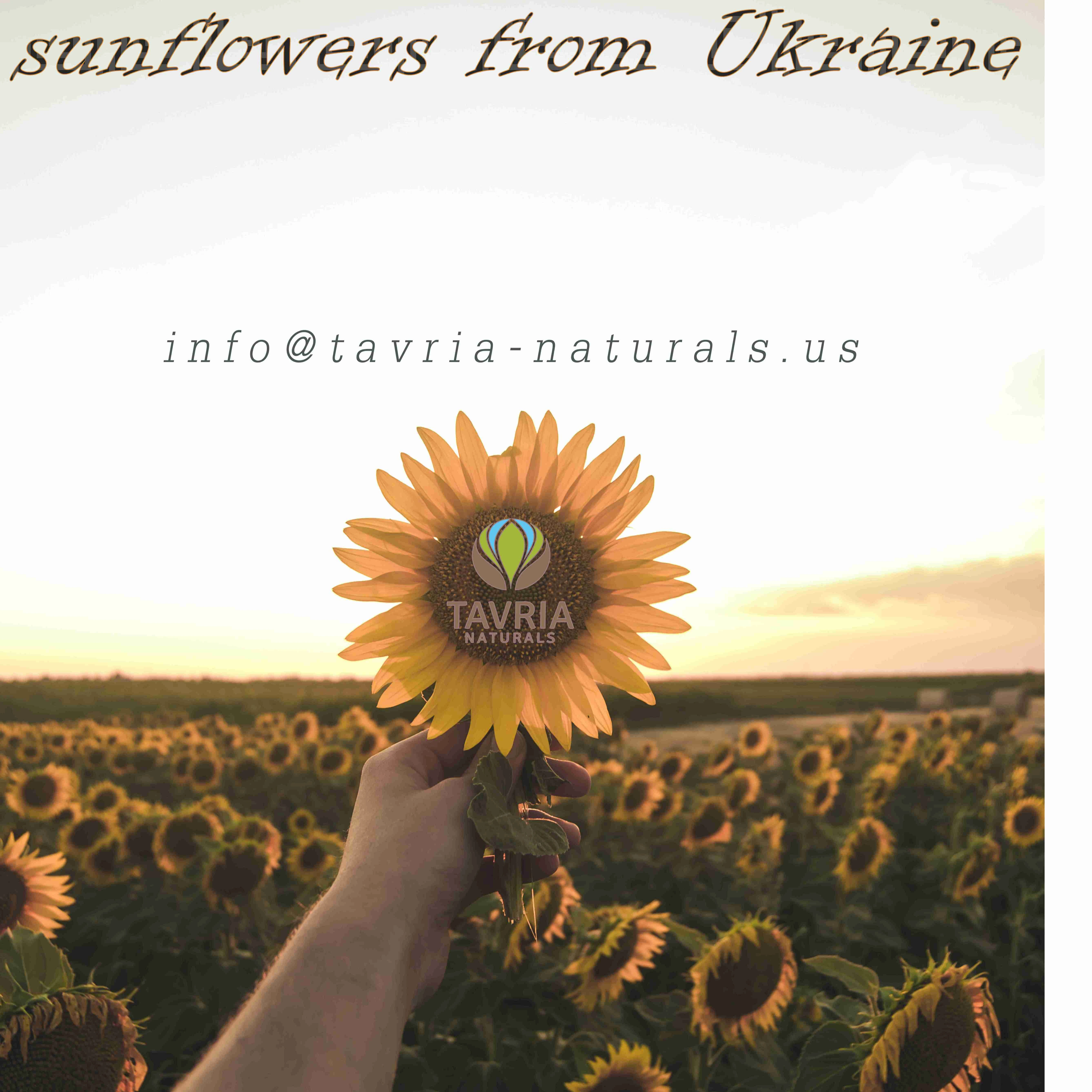 
Ukranian Crude sunflower oil (1st grade, degummed) 