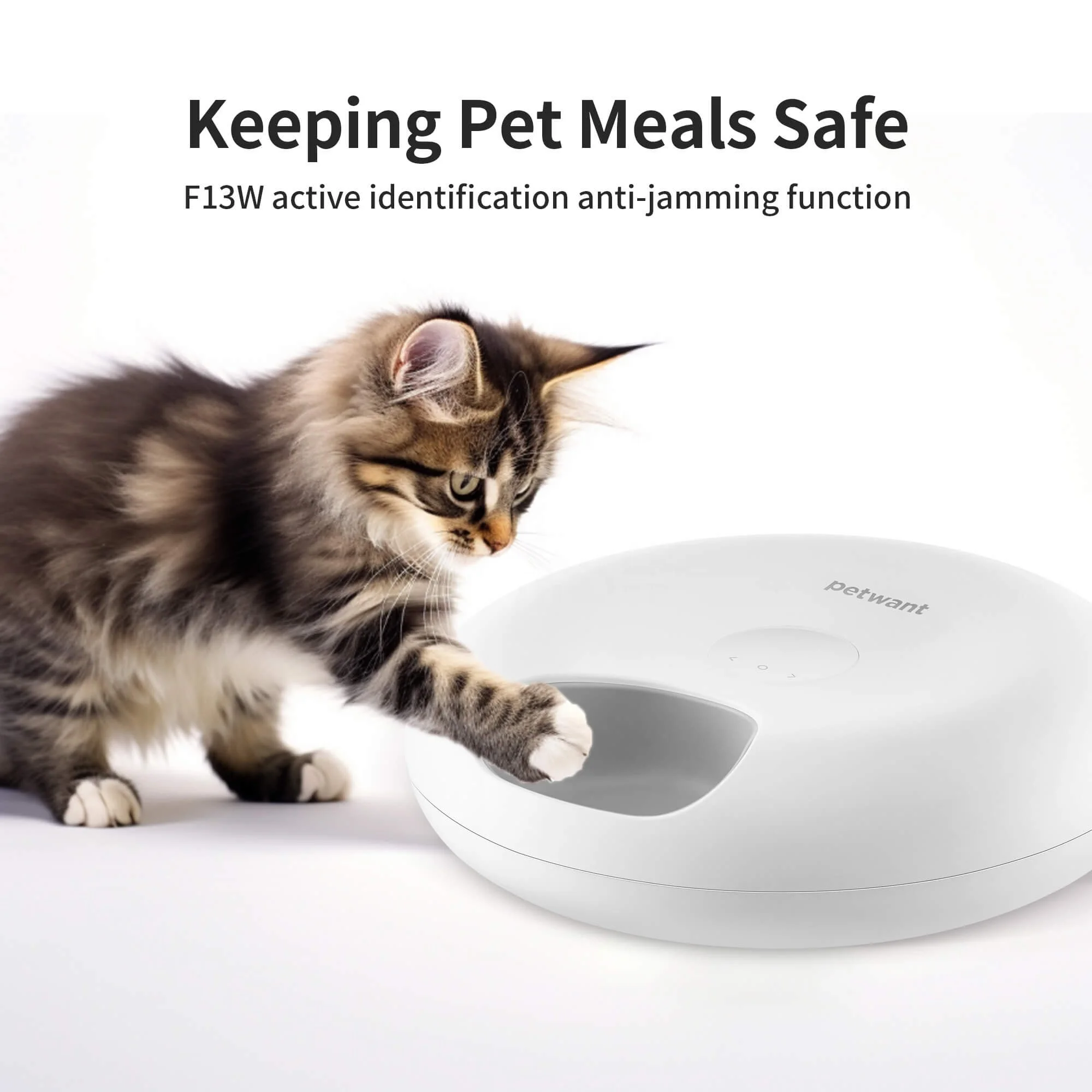 Petwant Smart LED Screen Automatic Timed Pet Bowls Feeder Eco-Friendly 6 Meals Waterproof Cats Small Animals Food Dispenser