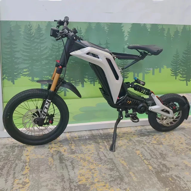 2023 48 В 3000 Вт Ebike 35AH мощный внедорожный мотоцикл