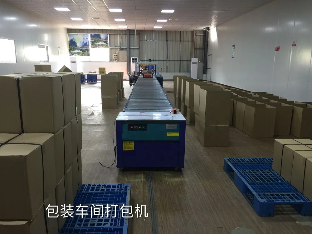 Top Popular Uzbekistan Arabia Morocco African Market Best Quality Chunmee Green Customized OEM Anti Fatigue Loose Tea Health Tea