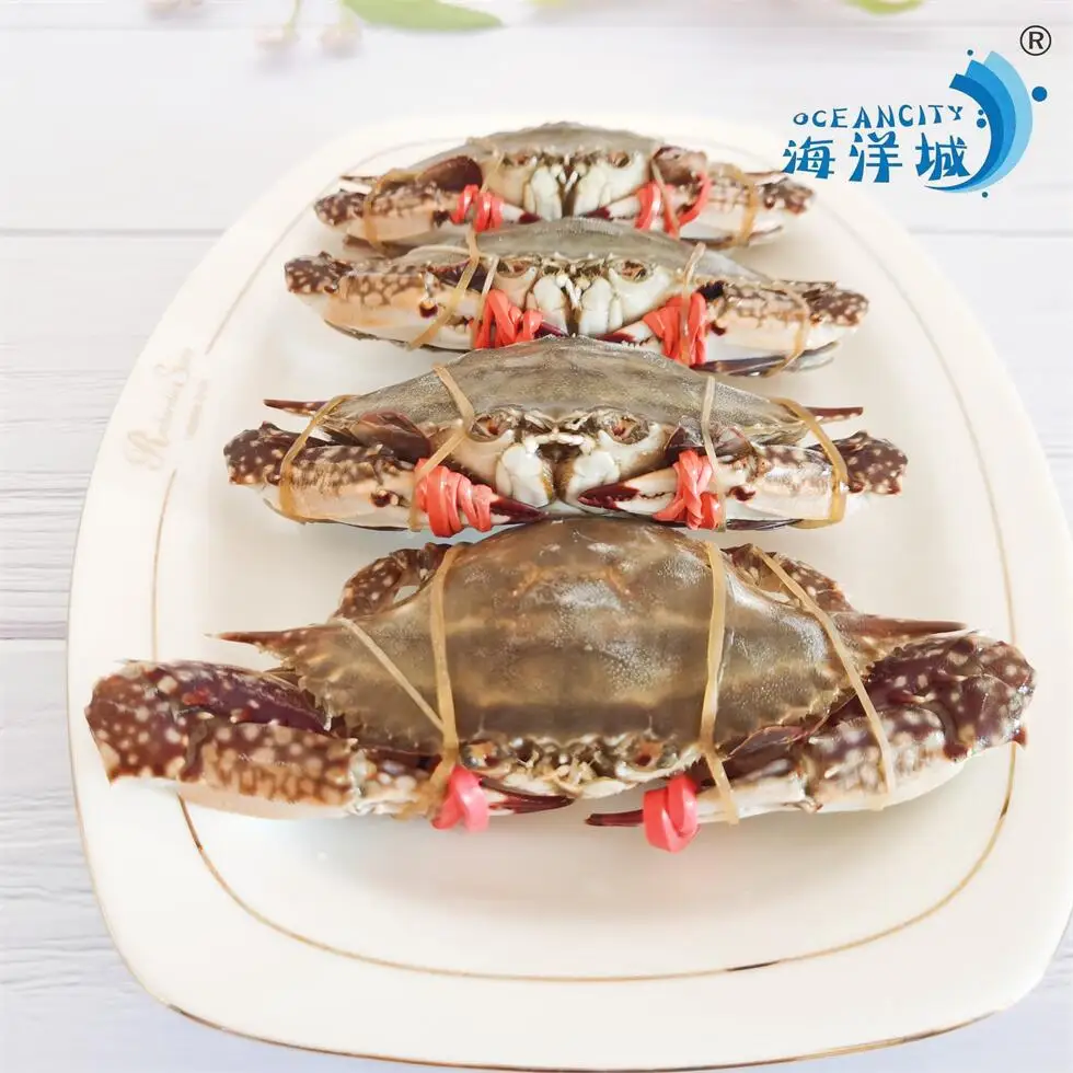 Wholesale High Quality Swimming Frozen Crab Types Of Sea Foods