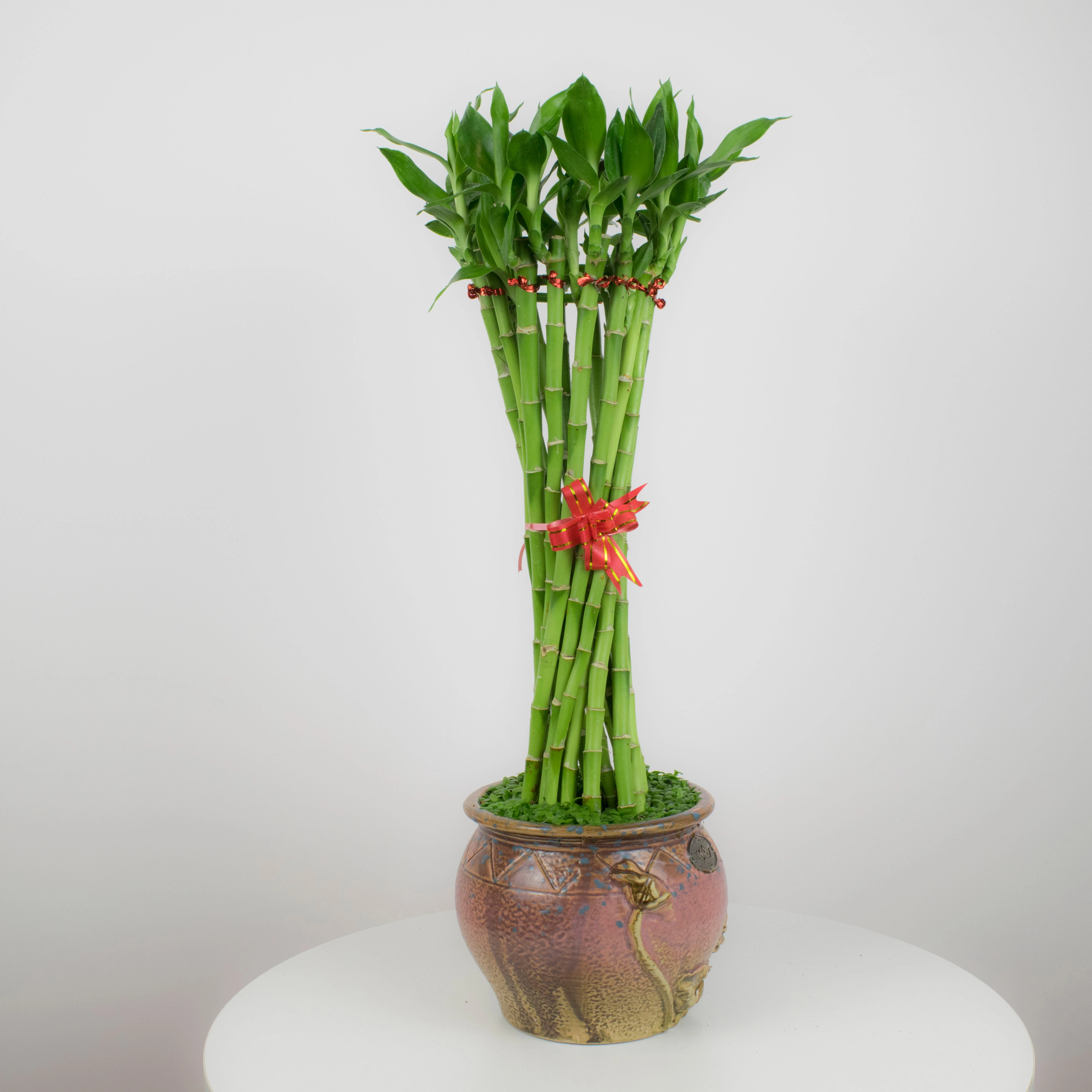 
Artificial Braided Round--tower Lucky Bamboo---Big Two 