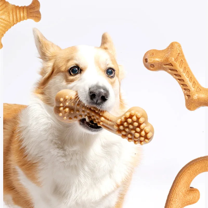 Durable Pet Dog Puppy Toothbrush Dog Dental Care Chew Bones Anti-anxiety Molar Toy