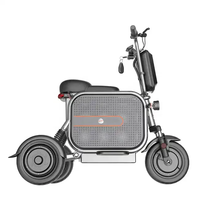 Outdoor 3 Wheel Electric Bicycle Scooter Electric Adult Mobility Disabled 3 Wheel Electric Bike for Adult
