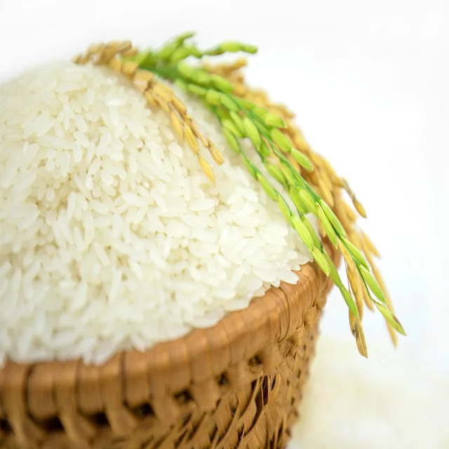 Nalao Organic Jasmine Rice low price pure natural high-quality grain  nutrition Lao organic jasmine rice