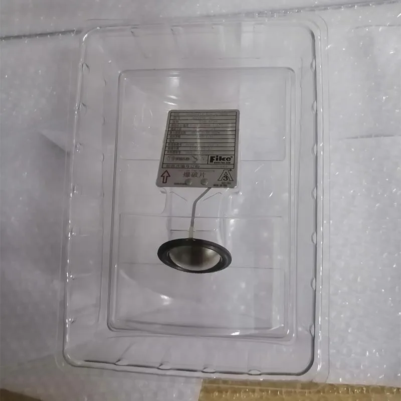 FIKE Rupture discs SR-H BI 2132888