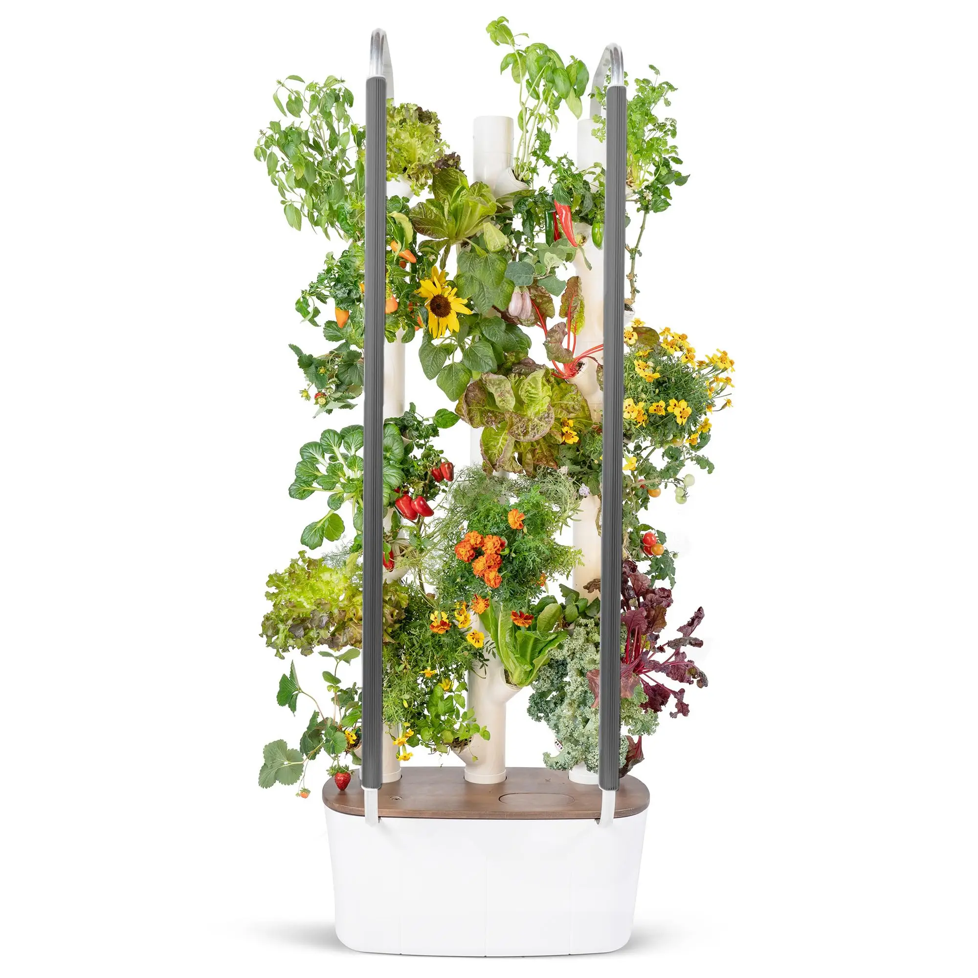 Hot Selling Gardyn Herbs Vegetables Hydroponics Growing System Best Way To Grow Herbs Inside