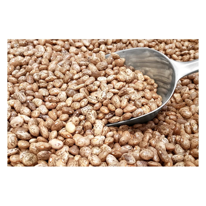 Premium Pinto Kidney Beans - High Quality, Best Price, Directly from Producers in Mexico Processing Plant from MX