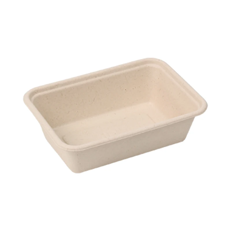 Disposable Tableware Biodegradable Sugarcane Bagasse Leakproof Takeaway Paper Lunch Box Container Catering Boxes with Lid