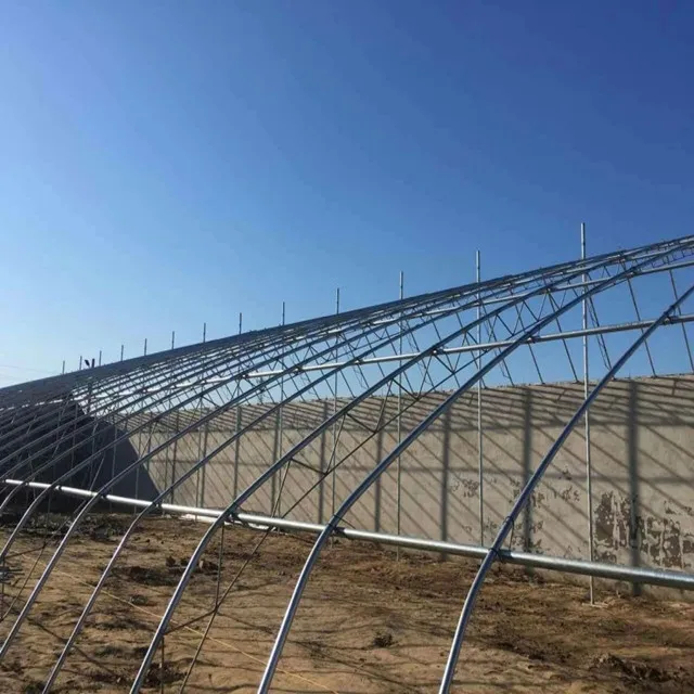 Hot Galvanized Steel Pipe passive solar greenhouse for Vegetables