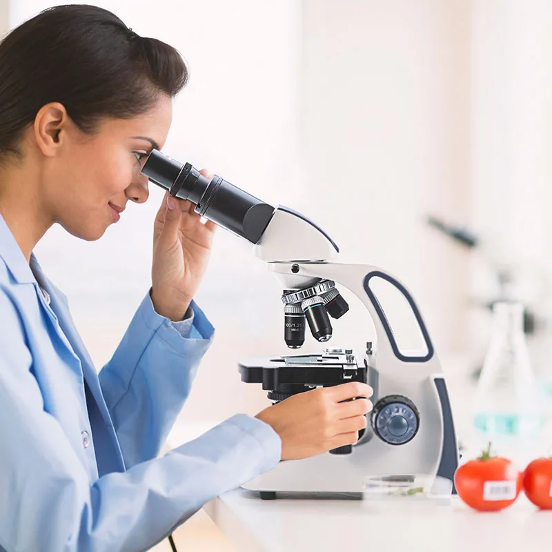 SWIFT-SW380B Best Selling Buy Microscope Online Compound Binocular Microscope  Microcopios Biological Microscopes