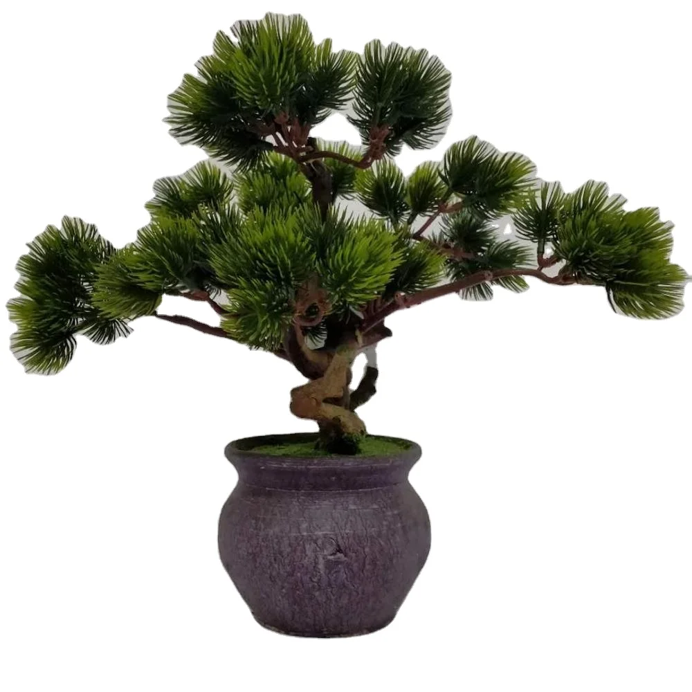 Hot sell artificial Potted Changpai Pine beauty pine tree