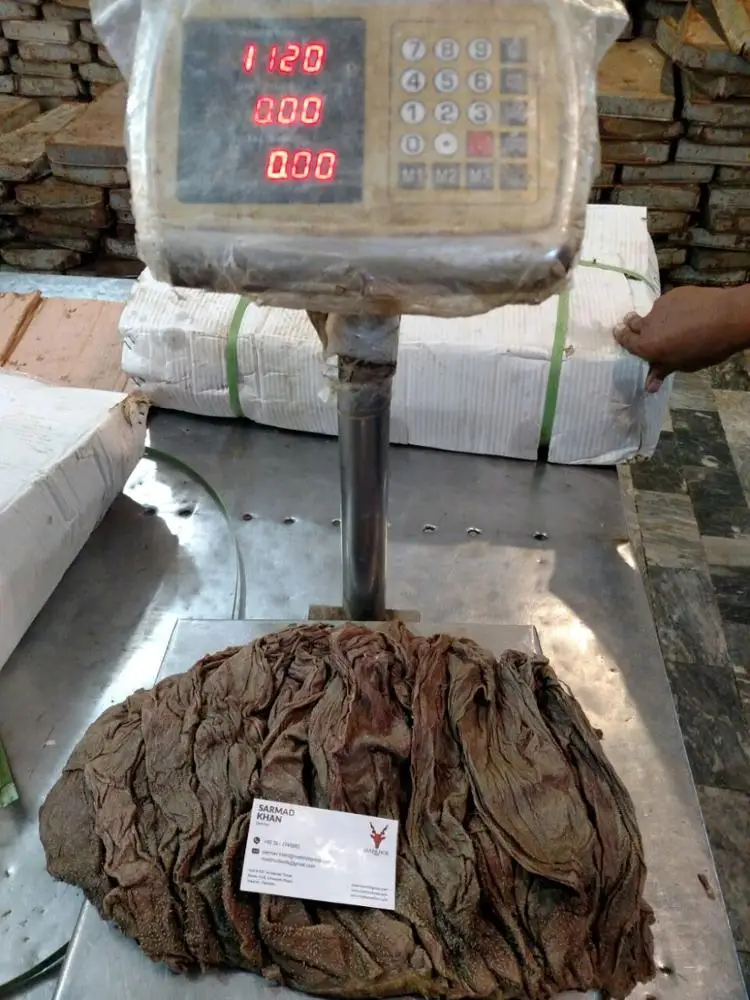 Processed Salted Beef Omasum - Dried Salted Omasum