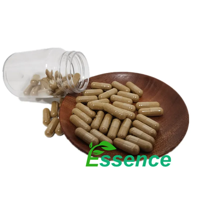 Best Quality Ginsenosides Panax Ginseng Leaf Extract Powder Korean Red Ginseng Root Extract Powder