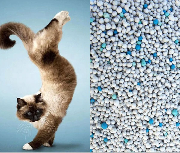 Factory direct cat litter safe and environmentally friendly cat litter bentonite cat litter for sale