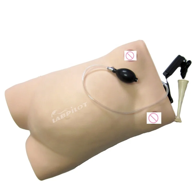 Maternity Examination Simulator Pregnancy Manikin Auscultation Teaching