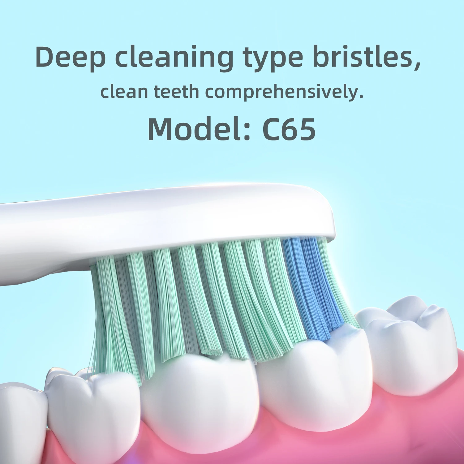 Replacement Brush Heads for CD-01, CD-07, CD-09, Daily Cleaning Type Bristles, Oval Interface, 4 Pack, C65 White