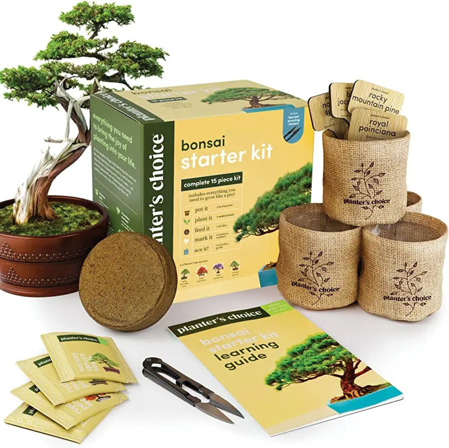 Hot selling Grow 3 Mini Bonsai Trees, Indoor Plant Growing tool Kit - Bonsai Starter Kit, Soil, Planters & Shears