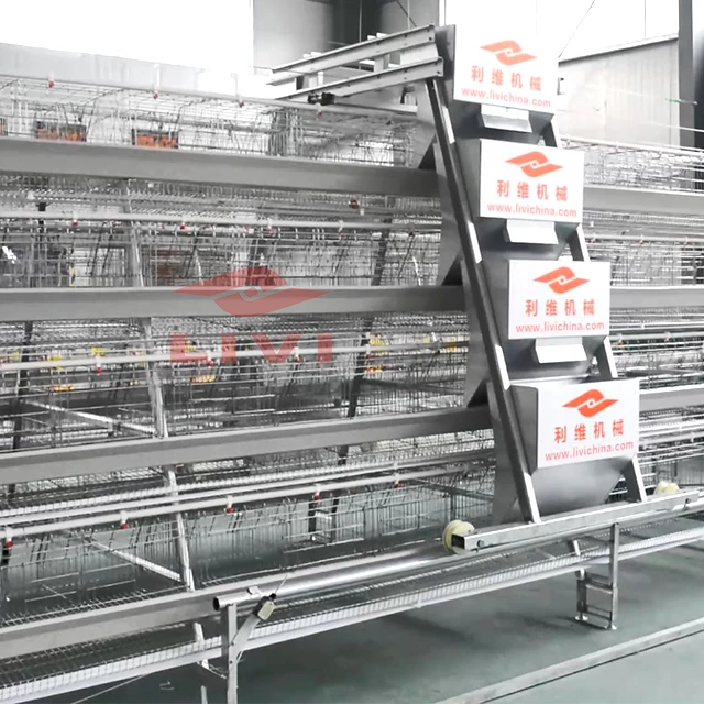 
LIVI layer poultry farm chicken cages automatic for layers chickens 20000 birds 