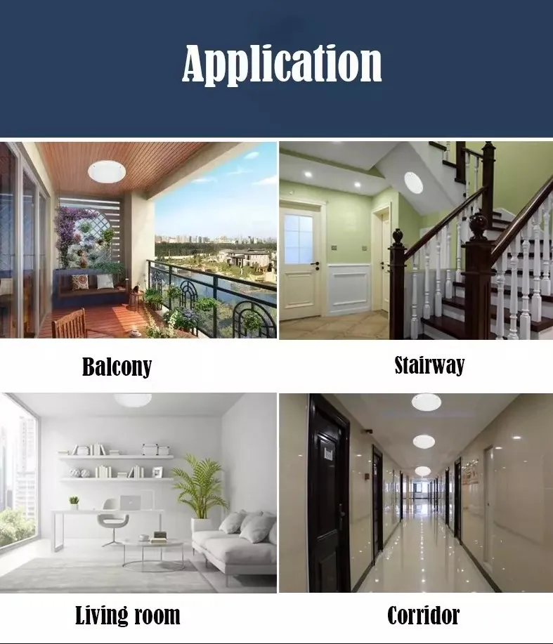 Die Cast Aluminum Round ERP Ceiling Light Outdoor Ip65 Led Bulkhead Light With Pir Sensor 15w 22w Exterior Moisture-proof Wall L