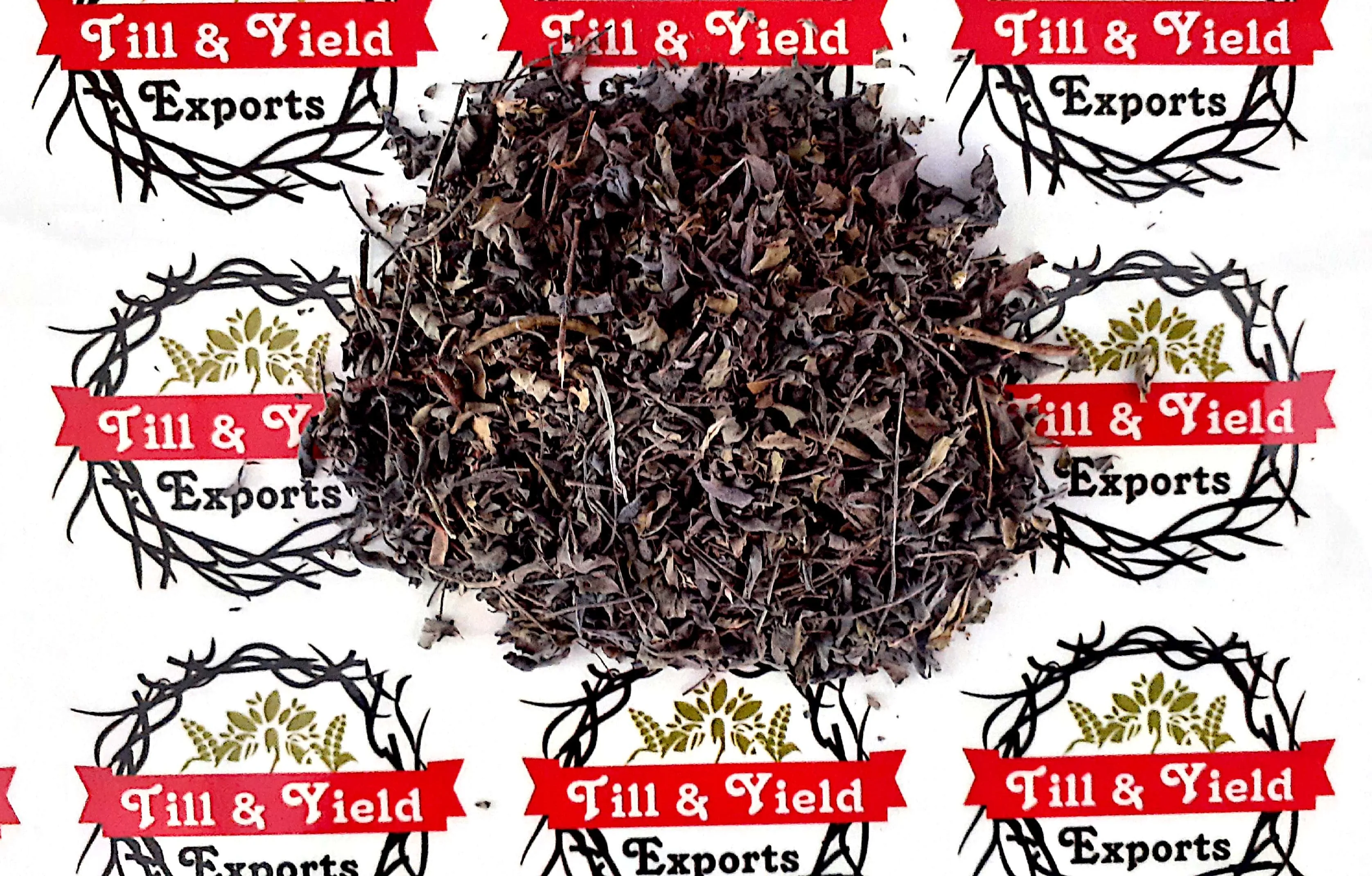 Export Quality Herb Indigo/ Indigo Tinctoria/Asian Indigo Promotes Hair Quality Solve Hair Problems