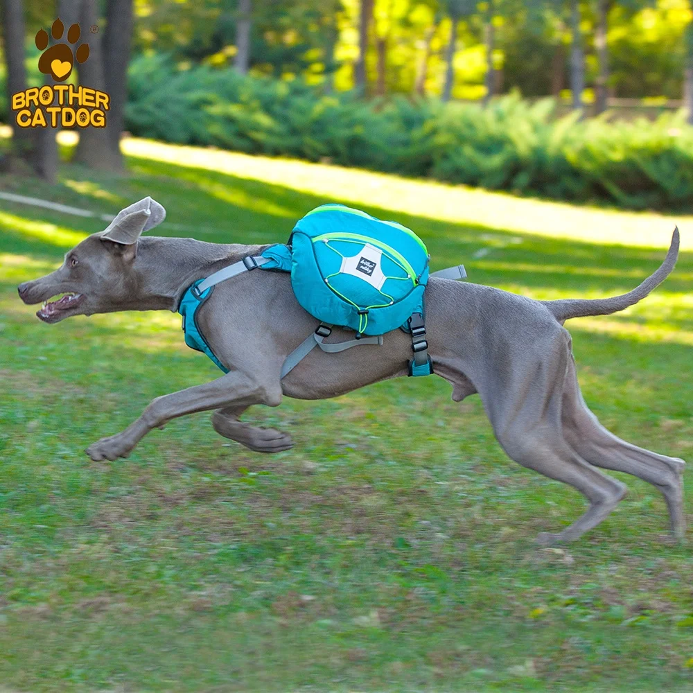 Factory price pet dog harness backpack  pet travel bag breathable dog transport products