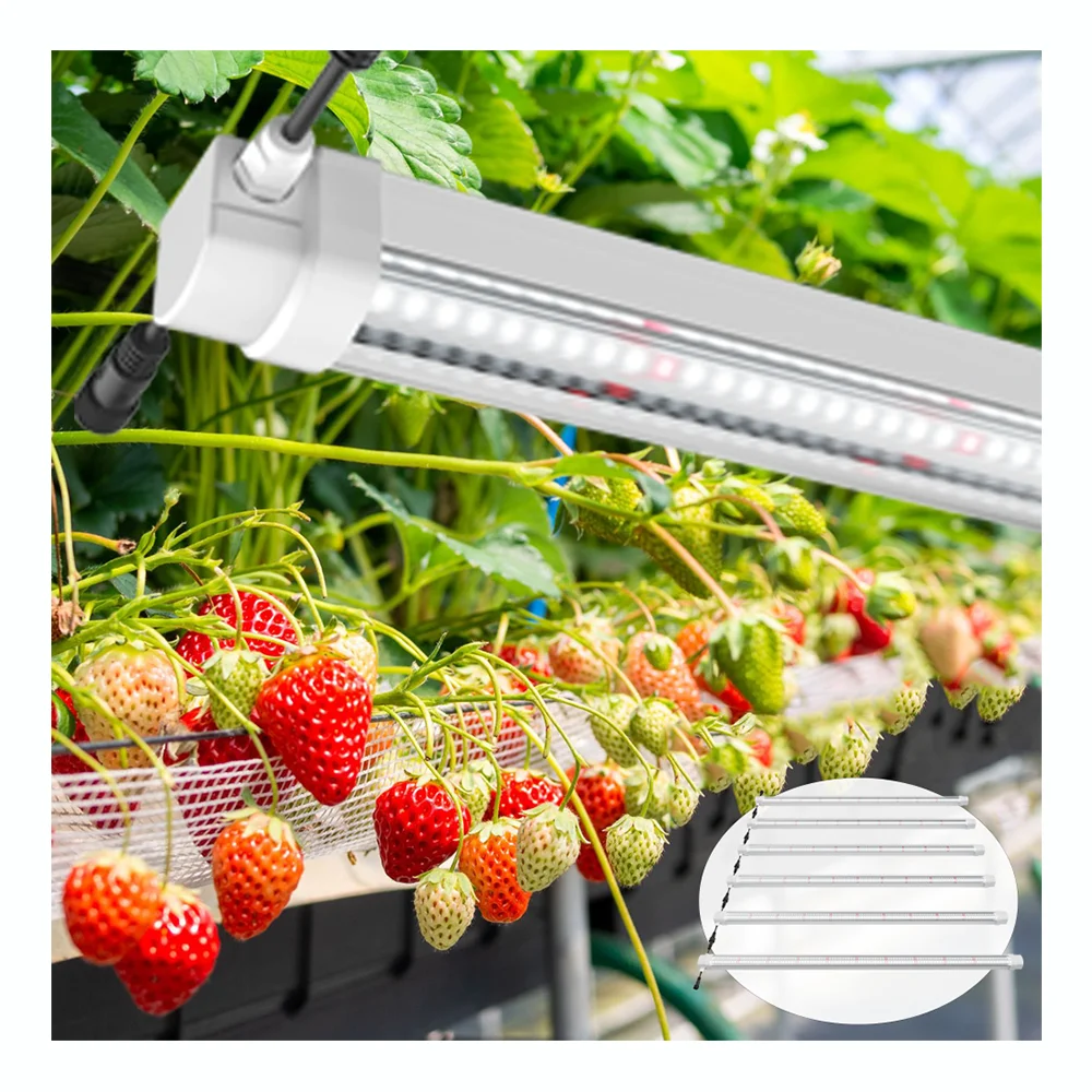 T8 ce fcc rohs smart hydroponic hudroponic Indoor Plants Vertical Farming mushroom Growing Waterproof LED Plant grow lamp Tube