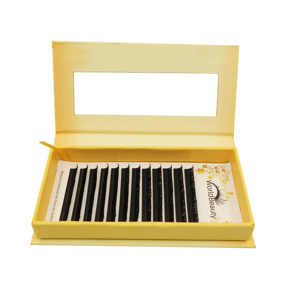  3D4D 5D Pre Made Fan Eyelashes Extension Wholesale 2D 3D Korea PBT Fiber Soft and Strong 2-4 Weeks Hand OEM