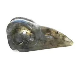 Natural Polished Crystal Quartz Stone Carving  For Hand Carved for Gift and Collection Bird beak Skulls