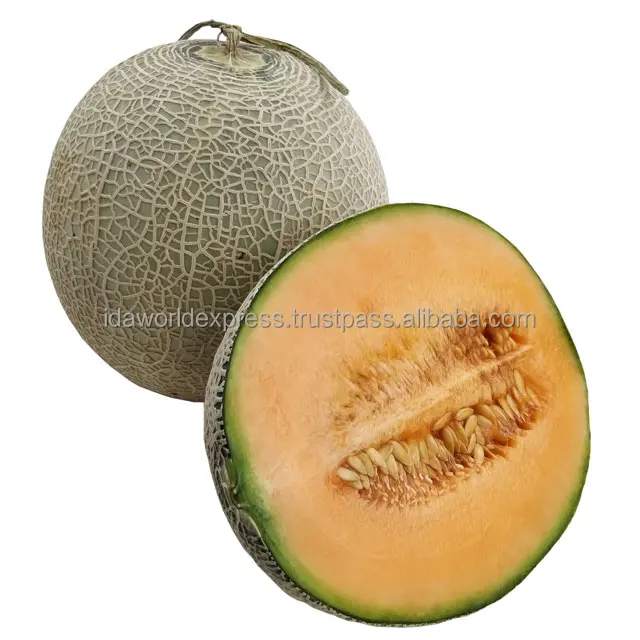  Дыня Органические свежие фрукты из фермы лучшая Органическая Золотая Таиланда