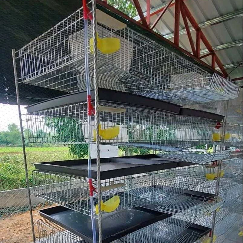Automatic/manual Design Battery Commercial Quail Breeding Cage