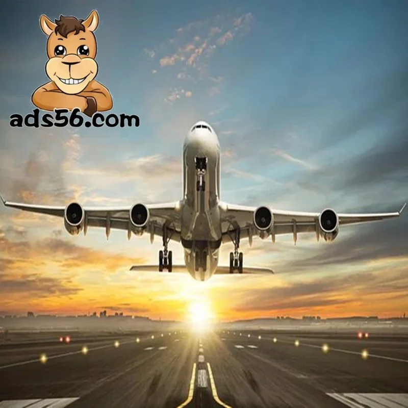 International Sea Freight Cargo Ocean Shipping Forwarder Service  to Sydney/Melbourne/Australia