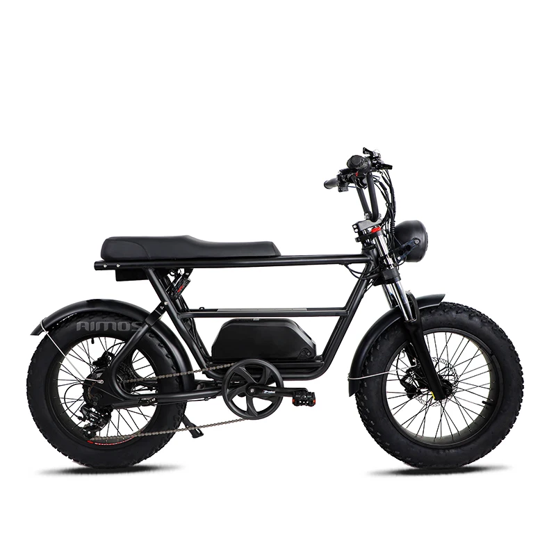 1000W fashion removable battery good quality powerful electric bicycle double seat