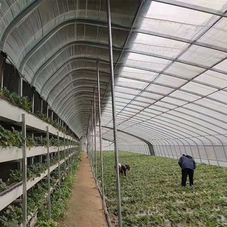 Greenhouse with wet wall solar farming agri low Tunnel galvanized steel Single span Frame  for Agriculture & Garden