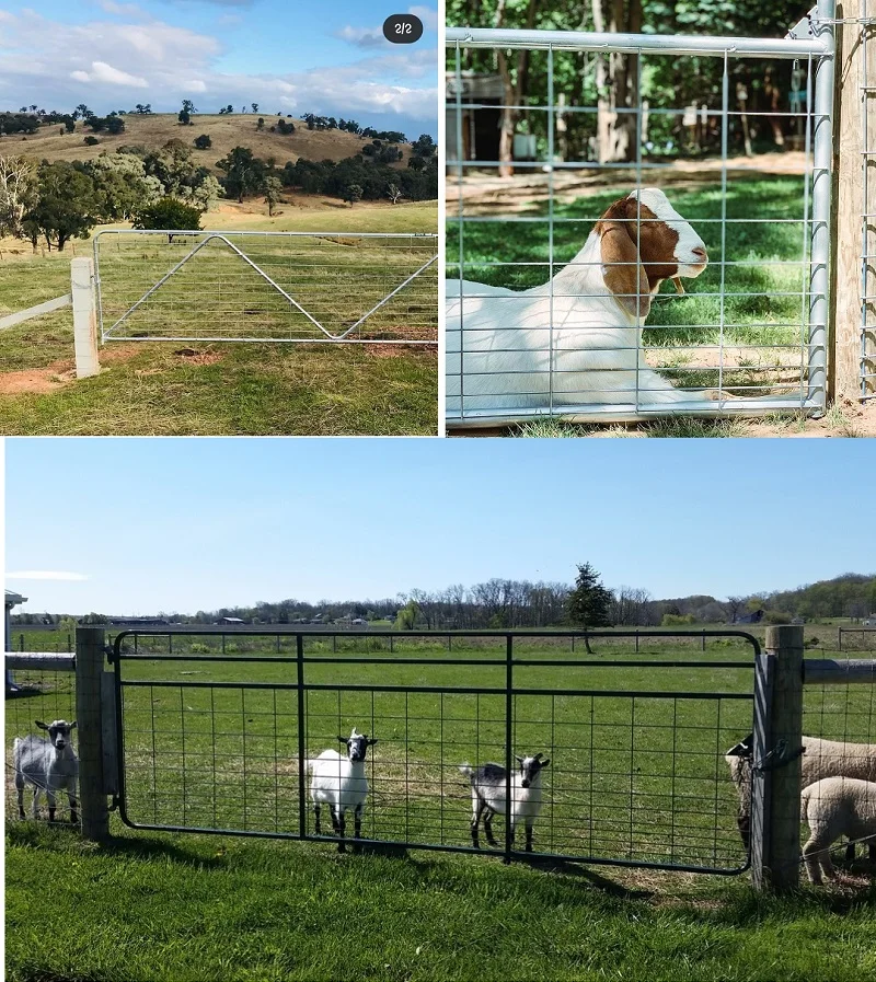 gate4.jpg