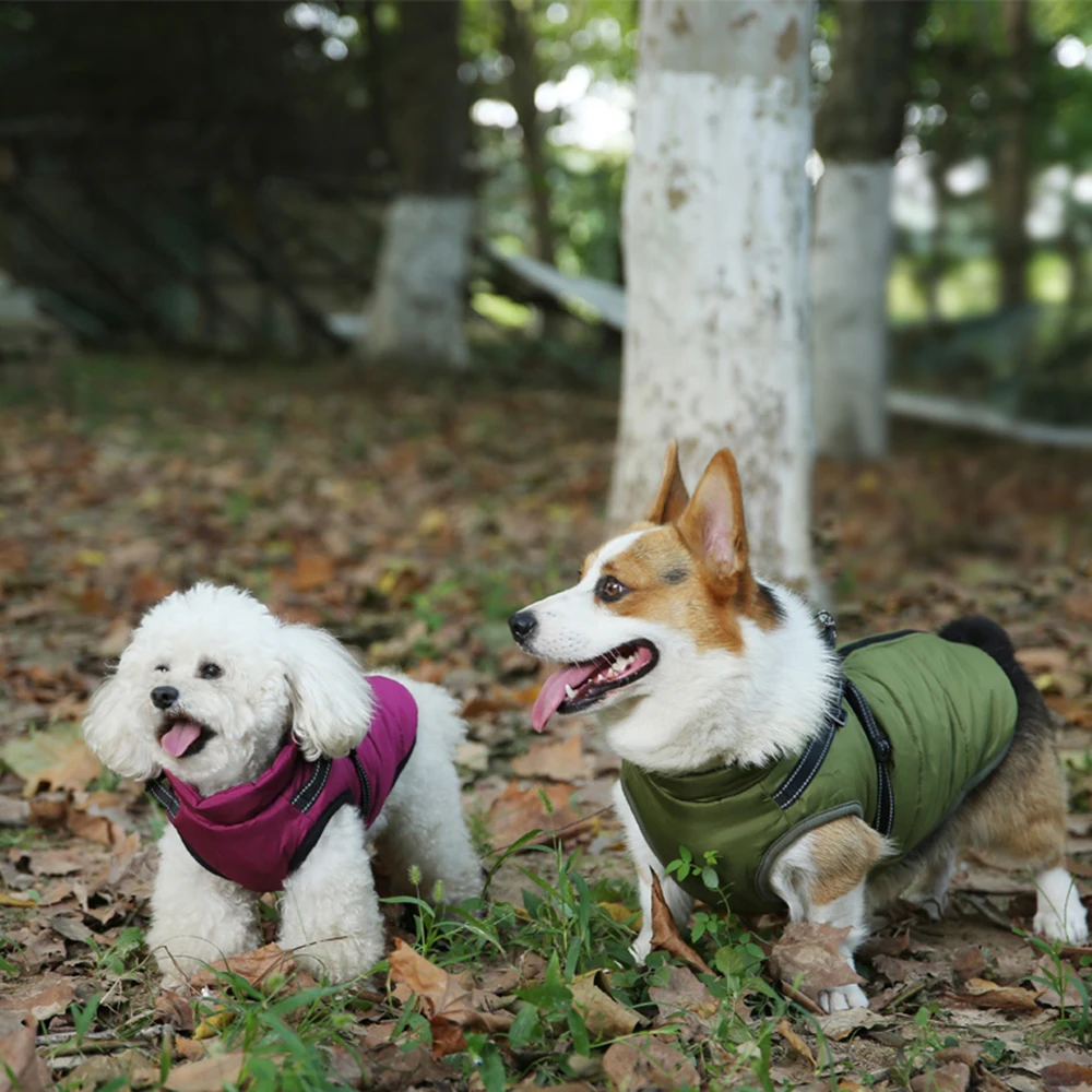 Top Quality Dog  Winter Coats Wholesale Price Pet Clothes Made In Cotton Polyester Dog Coat Customized Dog Jacket