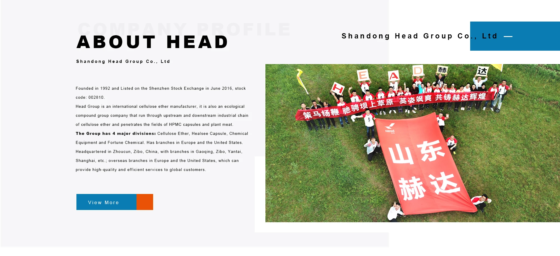 High Viscosity CMC Powder Food Grade Thickener CAS9004-32-4 Sodium Carboxymethyl Cellulose